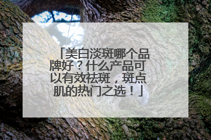 美白淡斑哪个品牌好？什么产品可以有效祛斑，斑点肌的热门之选！