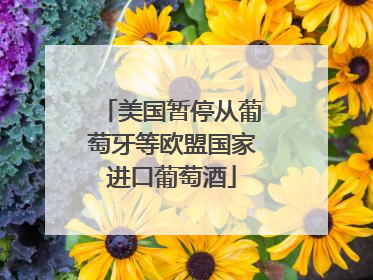 美国暂停从葡萄牙等欧盟国家进口葡萄酒
