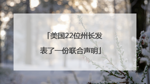美国22位州长发表了一份联合声明