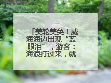 美轮美奂！威海海边出现“蓝眼泪”，游客：海浪打过来，就像星河一样