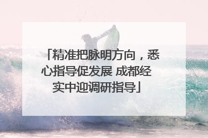 精准把脉明方向，悉心指导促发展 成都经实中迎调研指导