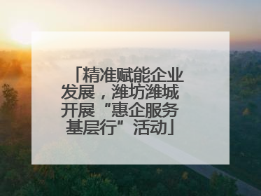 精准赋能企业发展，潍坊潍城开展“惠企服务基层行”活动