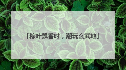 粽叶飘香时，潮玩玄武地