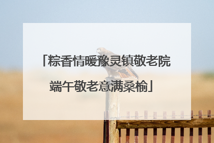 粽香情暖豫灵镇敬老院 端午敬老意满桑榆