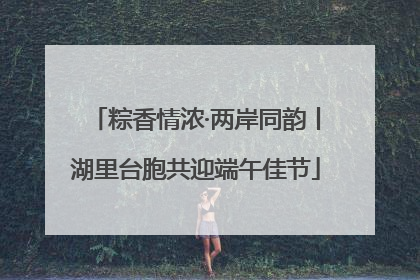 粽香情浓·两岸同韵丨湖里台胞共迎端午佳节