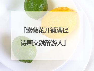 紫薇花开铺满径 诗画交融醉游人