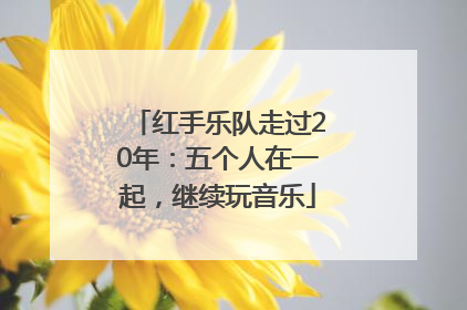 红手乐队走过20年：五个人在一起，继续玩音乐