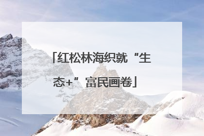 红松林海织就“生态+”富民画卷