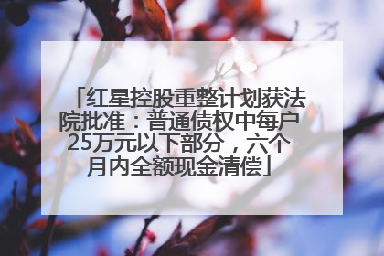 红星控股重整计划获法院批准：普通债权中每户25万元以下部分，六个月内全额现金清偿