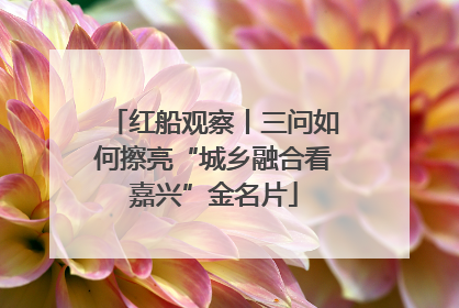 红船观察丨三问如何擦亮“城乡融合看嘉兴”金名片