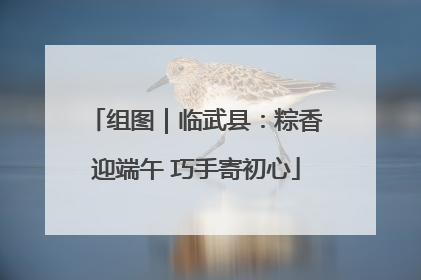 组图｜临武县：粽香迎端午 巧手寄初心