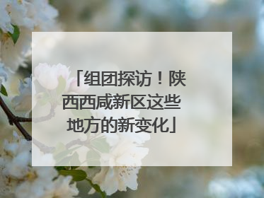 组团探访！陕西西咸新区这些地方的新变化