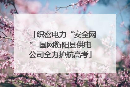 织密电力“安全网” 国网衡阳县供电公司全力护航高考