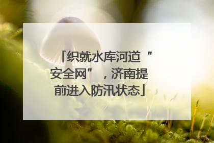 织就水库河道“安全网”，济南提前进入防汛状态