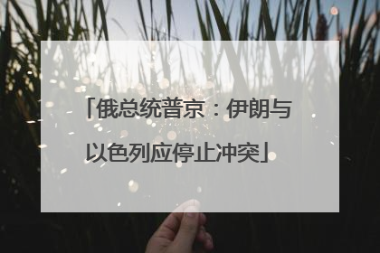 俄总统普京：伊朗与以色列应停止冲突