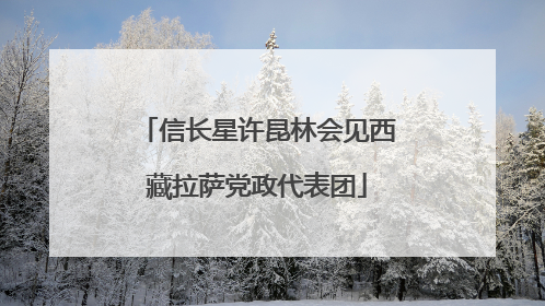 信长星许昆林会见西藏拉萨党政代表团