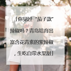 你见过“茄子款”辣椒吗？青岛培育出富含花青素的紫辣椒，生吃自带水果甜
