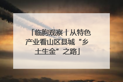 临朐观察丨从特色产业看山区县城“乡土生金”之路