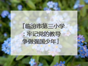 临汾市第三小学：牢记党的教导 争做强国少年