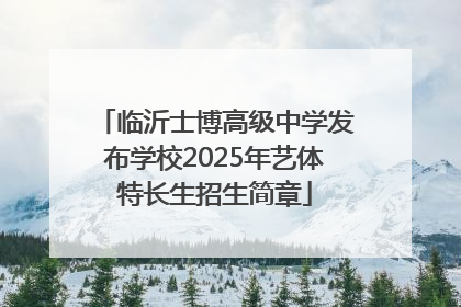 临沂士博高级中学发布学校2025年艺体特长生招生简章