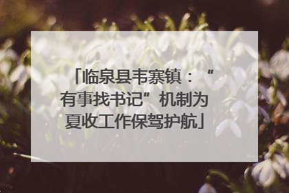 临泉县韦寨镇：“有事找书记”机制为夏收工作保驾护航
