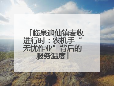 临泉迎仙镇麦收进行时：农机手“无忧作业”背后的服务温度