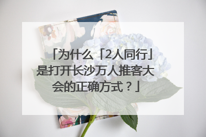 为什么「2人同行」是打开长沙万人推客大会的正确方式？