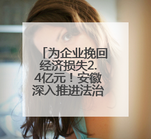 为企业挽回经济损失2.4亿元！安徽深入推进法治化营商环境建设