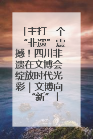 主打一个“非遗”震撼！四川非遗在文博会绽放时代光彩｜文博向“新”