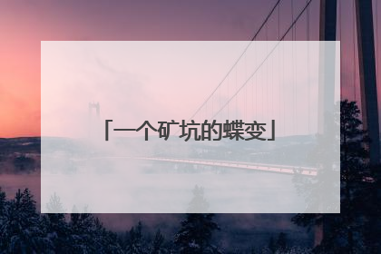 一个矿坑的蝶变
