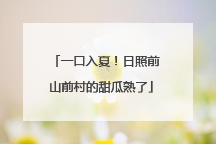 一口入夏！日照前山前村的甜瓜熟了