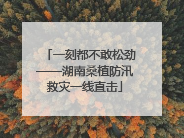 一刻都不敢松劲——湖南桑植防汛救灾一线直击