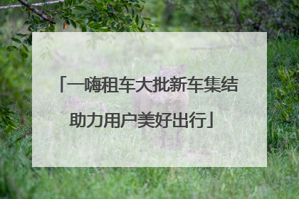 一嗨租车大批新车集结 助力用户美好出行