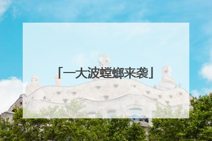 一大波螳螂来袭