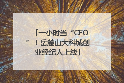 一小时当“CEO”！岳麓山大科城创业经纪人上线