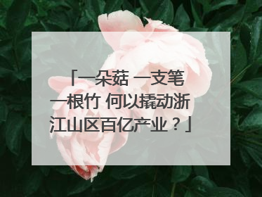 一朵菇 一支笔 一根竹 何以撬动浙江山区百亿产业？
