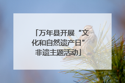 万年县开展“文化和自然遗产日”非遗主题活动