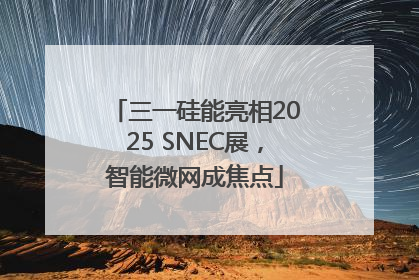 三一硅能亮相2025 SNEC展，智能微网成焦点