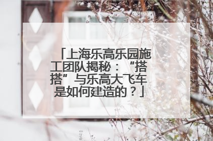 上海乐高乐园施工团队揭秘：“搭搭”与乐高大飞车是如何建造的？