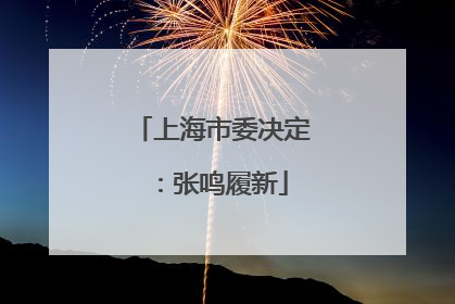上海市委决定：张鸣履新
