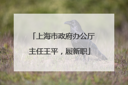 上海市政府办公厅主任王平，履新职