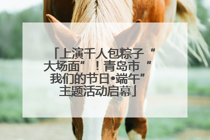 上演千人包粽子“大场面”！青岛市“我们的节日•端午”主题活动启幕
