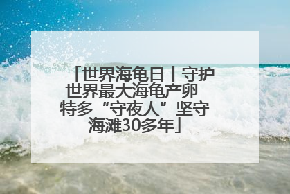 世界海龟日丨守护世界最大海龟产卵 特多“守夜人”坚守海滩30多年