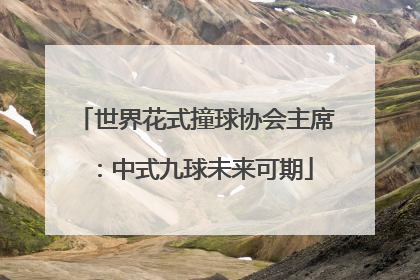世界花式撞球协会主席：中式九球未来可期