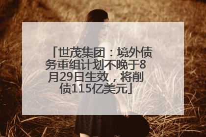 世茂集团：境外债务重组计划不晚于8月29日生效，将削债115亿美元
