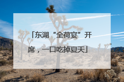 东湖“全荷宴”开席，一口吃掉夏天