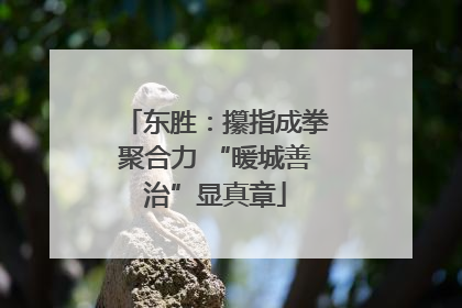 东胜：攥指成拳聚合力 “暖城善治”显真章