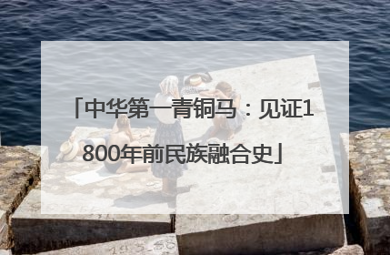 中华第一青铜马：见证1800年前民族融合史