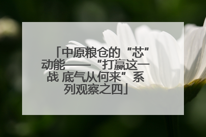中原粮仓的“芯”动能——“打赢这一战 底气从何来”系列观察之四