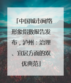 中国城市网络形象指数报告发布，泸州：治理、宜居方面的双优典范
